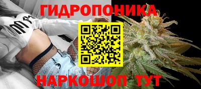 метадон Будённовск
