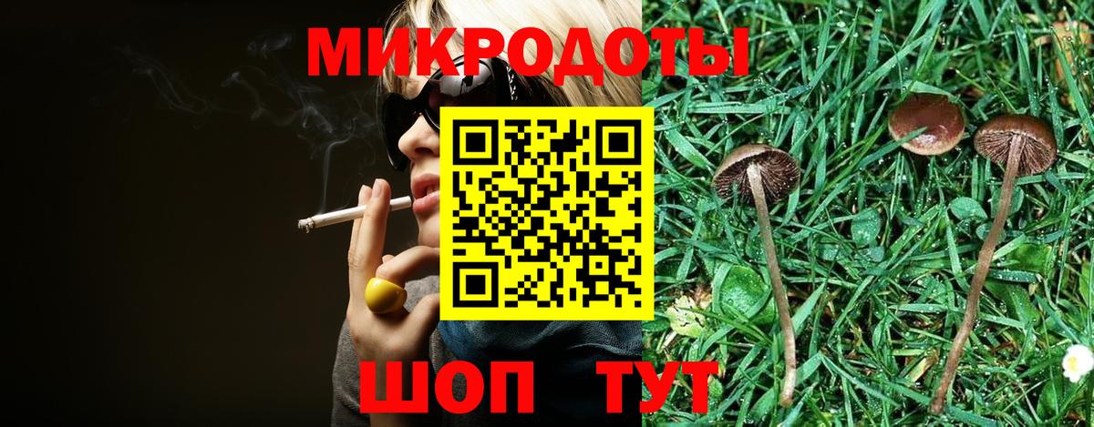 Галлюциногенные грибы Psilocybine cubensis  Вход с VPN  Советская Гавань 